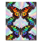 Iridescent Butterfly Kaleidoscope Wing Area Rug