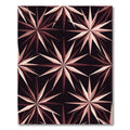 Crimson Sharp Starburst Geometric Composition Rug