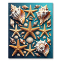 Coastal Seashell and Starfish Marine Motif Rug