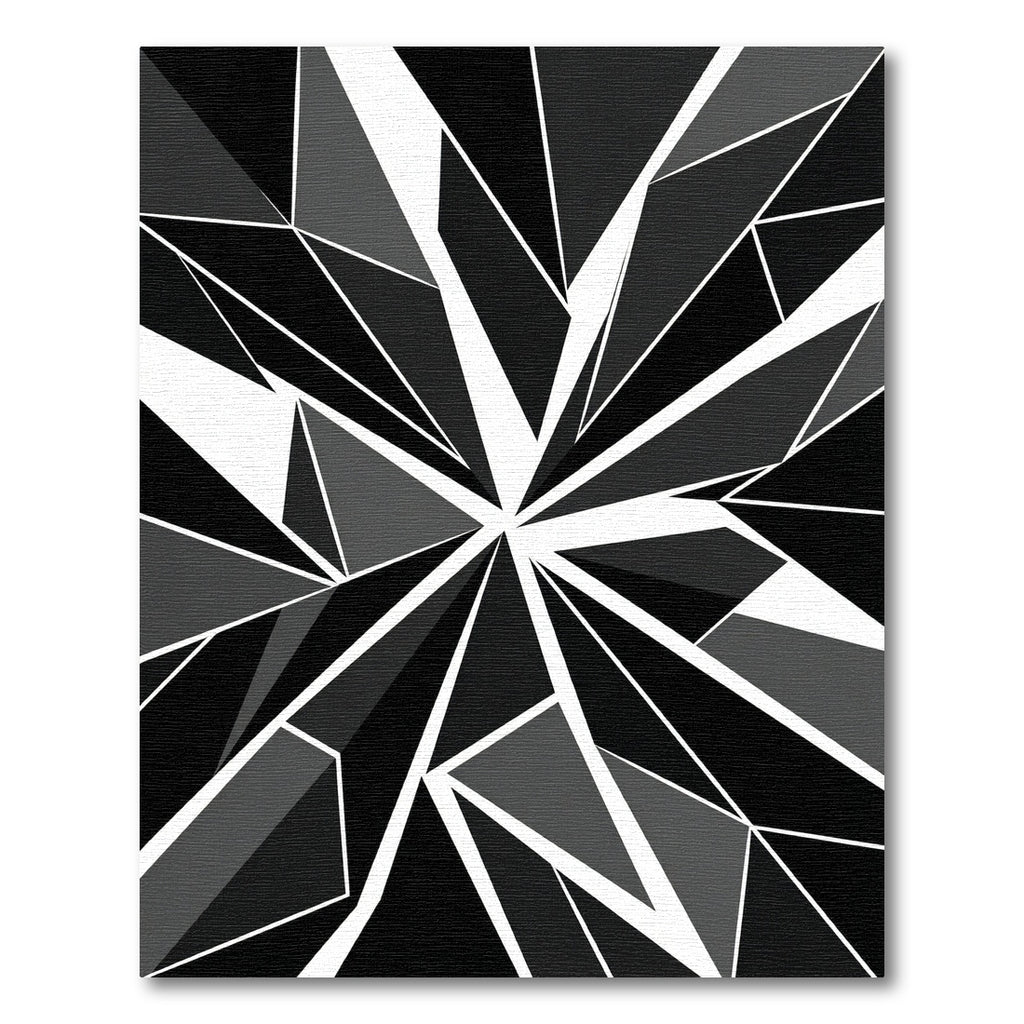 Monochrome Abstract Geometric Star Fragment Rug