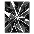 Monochrome Abstract Geometric Star Fragment Rug