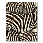 Bold Zebra Stripe Overlay Rug