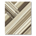 Modern Earth Toned Diagonal Stripe Rug