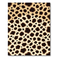 Brown Spots Contemporary Animal Print Rug
