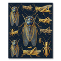 Golden Entomological Cicada Grasshopper Illustration Rug