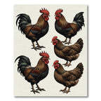 Rustic Farmhouse Brown Rooster Illustration Rug