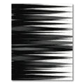 Minimalist Black and White Streaked Motion Rug