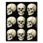 Monochrome Anatomical Skull Grid Illustration Rug