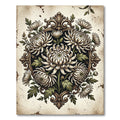 Vintage Cream Chrysanthemum Ornate Frame Rug